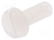 Screw; M3x8; 0.5; Head: cheese head; slotted; 0.9mm; polyamide DREMEC
