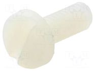 Screw; M4x10; 0.7; Head: cheese head; slotted; 1.3mm; polyamide DREMEC
