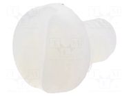 Screw; M4x6; 0.7; Head: cheese head; slotted; 1.3mm; polyamide DREMEC