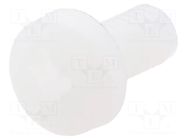 Screw; M3x6; 0.5; Head: cheese head; Pozidriv; 0.8mm; polyamide DREMEC