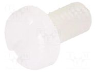 Screw; M3x6; 0.5; Head: cheese head; slotted; 0.9mm; polyamide DREMEC