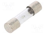 Fuse: fuse; time-lag; 15A; 250VAC; glass; 5x20mm; brass; bulk 