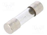 Fuse: fuse; time-lag; 1A; 250VAC; glass; 5x20mm; brass; bulk 