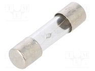 Fuse: fuse; time-lag; 5A; 250VAC; glass; 5x20mm; brass; bulk 