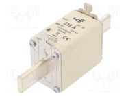 Fuse: fuse; gG; 315A; 500VAC; 80VDC; ceramic; NH1 DF ELECTRIC