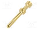 Contact; male; gold-plated; 0.5mm2; EPIC H-BE 2.5; crimped LAPP