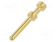 Contact; male; gold-plated; 0.5mm2; turned contacts; crimped LAPP