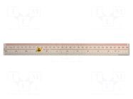 Ruler; ESD; 300mm; ABS; <0.1MΩ EUROSTAT GROUP