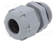 Cable gland; PG16; IP68; polyamide; dark grey BM GROUP