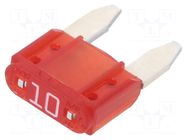 Fuse: fuse; 10A; 32VDC; automotive; 10.9mm; push-in; Mini; MINI LITTELFUSE