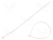 Cable tie; L: 200mm; W: 3.6mm; polyamide; 180N; white; Ømax: 52.5mm BM GROUP