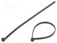 Cable tie; with a metal clasp; L: 140mm; W: 3.6mm; polyamide; 250N BM GROUP