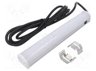 Filament lamp: LED lamp; cool white; 24VDC; IP20; Len: 3m; L: 300mm PATLITE