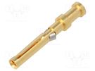 Contact; female; gold-plated; 0.5mm2; EPIC H-D 1.6; bulk; crimped LAPP