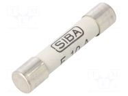 Fuse: fuse; 10A; 500VAC; quick blow; ceramic,cylindrical; 6.3x32mm SIBA