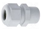 Cable gland; with long thread; PG29; IP68; polyamide; light grey HUMMEL