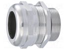 Cable gland; PG42; IP68; brass; Body plating: nickel HUMMEL