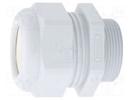 Cable gland; NPT1 1/4"; IP65; polyamide; grey; Holes no: 0 HUMMEL