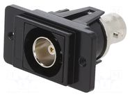 Coupler; BNC socket,both sides; 75Ω; DUALSLIM; black; metal; 29mm CLIFF
