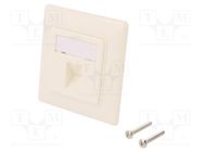 Socket; case; Keystone,unshielded; white; plaster embedded LOGILINK