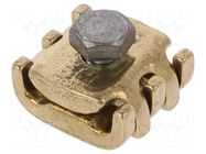 Connector: screw terminal; straight; for cable; screw terminal BM GROUP