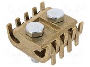 Connector: screw terminal; straight; for cable; screw terminal BM GROUP