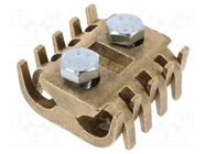 Connector: screw terminal; straight; for cable; screw terminal BM GROUP