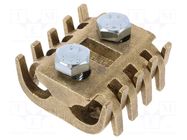 Connector: screw terminal; straight; for cable; screw terminal BM GROUP