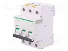 Circuit breaker; 400VAC; Inom: 50A; Poles: 3; Charact: C; 6kA; IP20 SCHNEIDER ELECTRIC