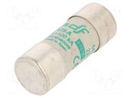 Fuse: fuse; 125A; 690VAC; aM; ceramic,cylindrical,industrial DF ELECTRIC