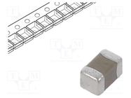 Capacitor: ceramic; MLCC; 1uF; 6.3V; X5R; ±20%; SMD; 0201 SAMSUNG