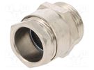 Cable gland; PG13,5; IP54; brass BM GROUP