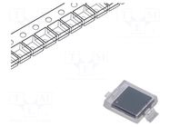 PIN photodiode; SMD; 940nm; 5nA; rectangular; flat; transparent EVERLIGHT