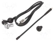 Antenna; automotive; 240mm; AM,FM; universal; rubber mast; 1.5m MTA