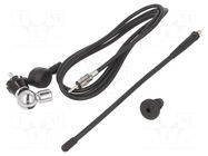 Antenna; automotive; 240mm; AM,FM; universal; rubber mast; 1.5m MTA