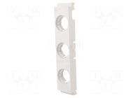 Cover; DII; 10pcs. RITTAL