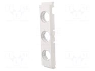 Cover; DII; 10pcs. RITTAL