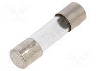 Fuse: fuse; quick blow; 1A; 250VAC; glass; 5x20mm; brass; bulk 