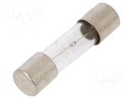 Fuse: fuse; 2A; 250VAC; time-lag; glass; 5x20mm; TSC; brass; bulk OPTIFUSE