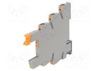 Socket; for DIN rail mounting PHOENIX CONTACT