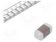 Capacitor: ceramic; MLCC; 22pF; 50V; C0G (NP0); ±5%; SMD; 0402 TDK