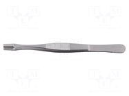 Tweezers; 145mm; Blade tip shape: shovel; universal BERNSTEIN