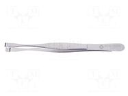 Tweezers; 145mm; Blade tip shape: round; universal BERNSTEIN