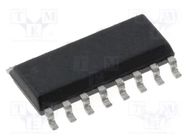 IC: Supervisor Integrated Circuit; push-pull; 4.75÷5.5VDC; SO16 Analog Devices