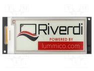 Display: e-paper; 2.9"; 296x129; Window dimensions: 29.06x66.9mm Riverdi