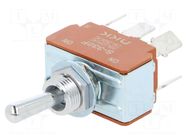 Switch: toggle; Pos: 2; DPDT; ON-ON; 15A/250VAC; 20A/30VDC; S NKK SWITCHES