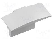 Cap for LED profiles; silver; 10pcs. GTV Poland