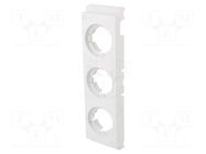 Cover; DIII; 10pcs. RITTAL