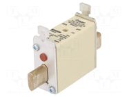 Fuse: fuse; 20A; 690VAC; gG; industrial; NH000 HAGER