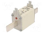 Fuse: fuse; 63A; 500VAC; gG; industrial; NH2 HAGER